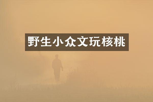 野生小众文玩核桃