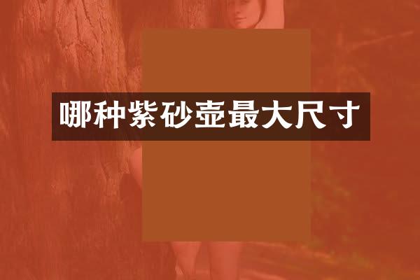 哪种紫砂壶最大尺寸