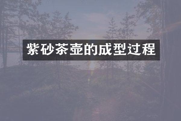 紫砂茶壶的成型过程