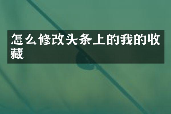 怎么修改头条上的我的收藏