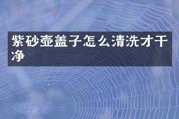 紫砂壶盖子怎么清洗才干净