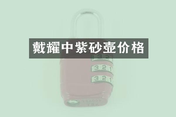 戴耀中紫砂壶价格