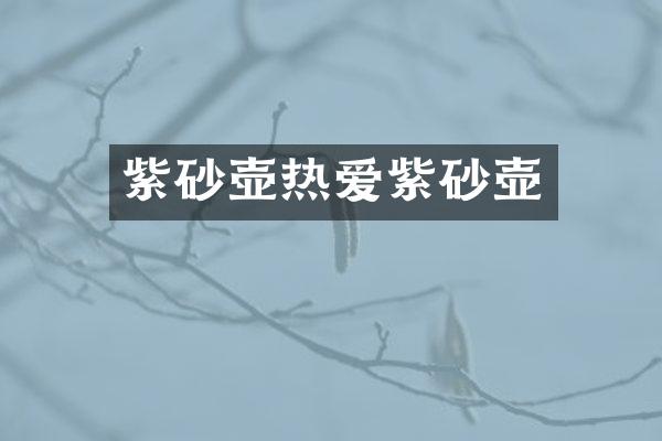 紫砂壶热爱紫砂壶