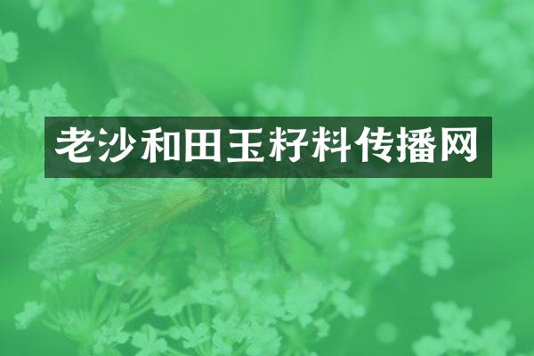 老沙和田玉籽料传播网