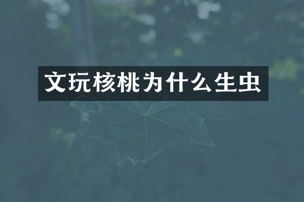 文玩核桃为什么生虫