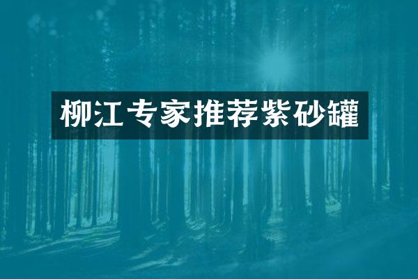 柳江专家推荐紫砂罐
