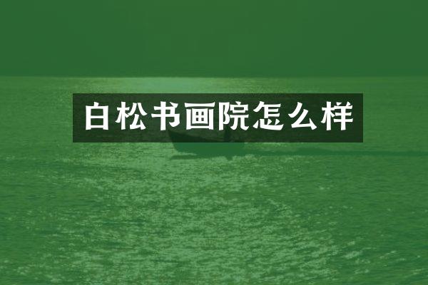 白松书画院怎么样