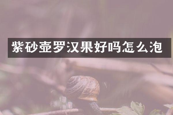 紫砂壶罗汉果好吗怎么泡