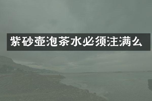 紫砂壶泡茶水必须注满么