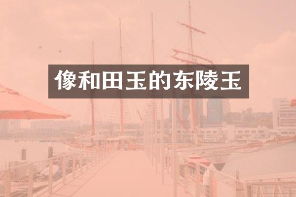 像和田玉的东陵玉