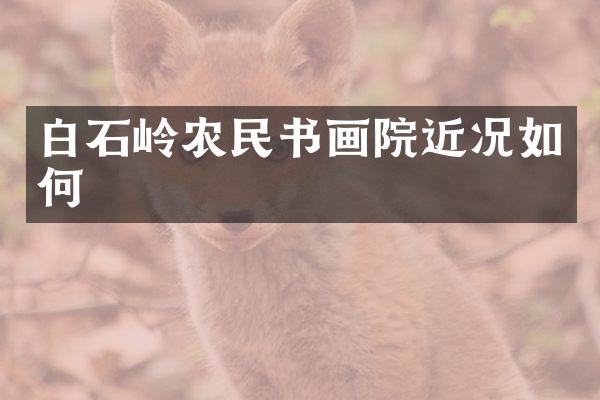 白石岭农民书画院近况如何
