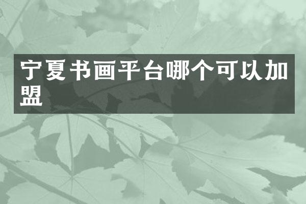 宁夏书画平台哪个可以加盟