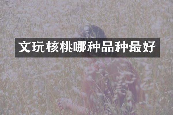 文玩核桃哪种品种最好