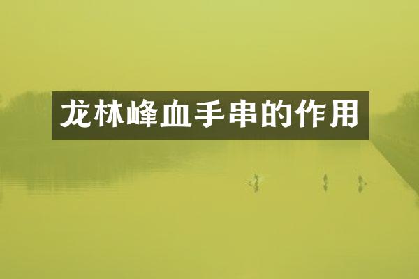 龙林峰血手串的作用