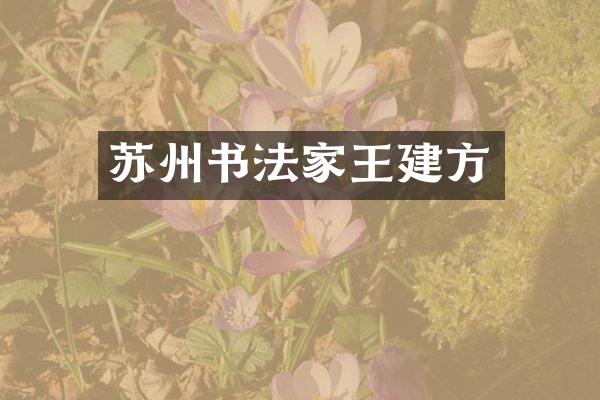 苏州书法家王建方