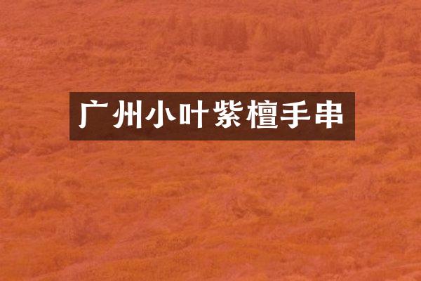 广州小叶紫檀手串