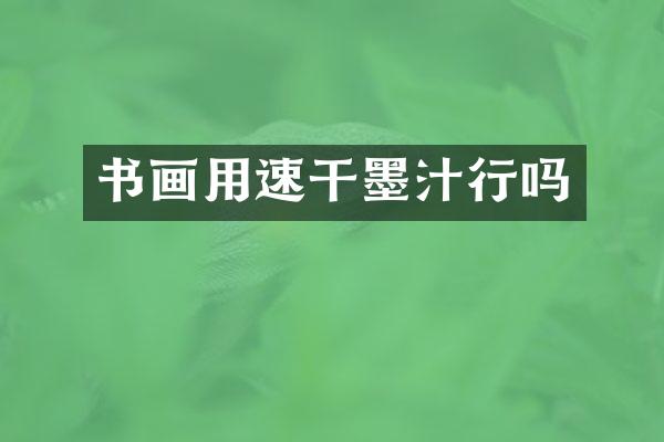 书画用速干墨汁行吗