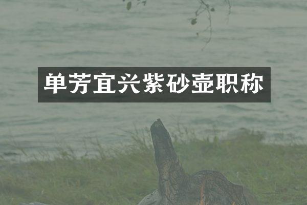 单芳宜兴紫砂壶职称