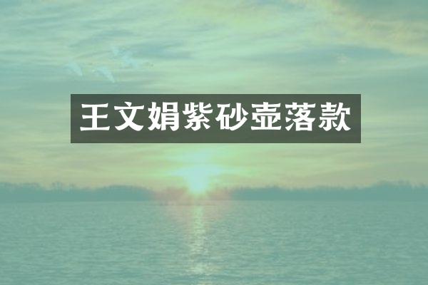 王文娟紫砂壶落款