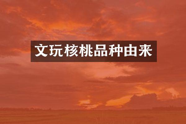 文玩核桃品种由来