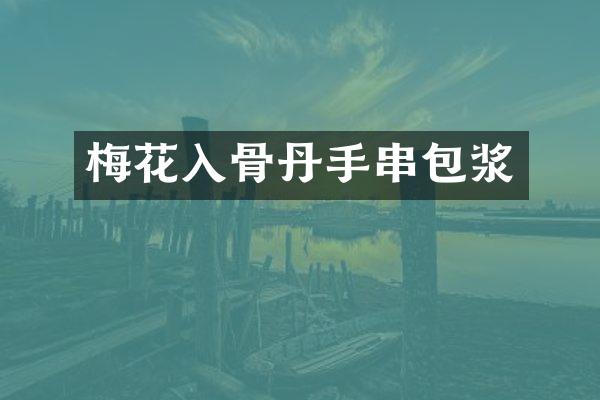 梅花入骨丹手串包浆