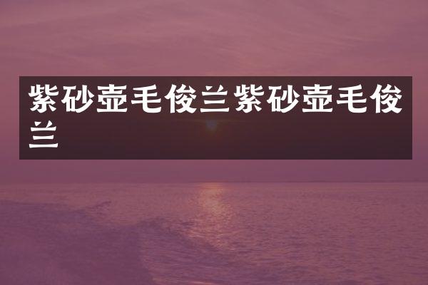 紫砂壶毛俊兰紫砂壶毛俊兰