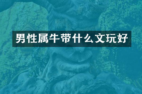男性属牛带什么文玩好