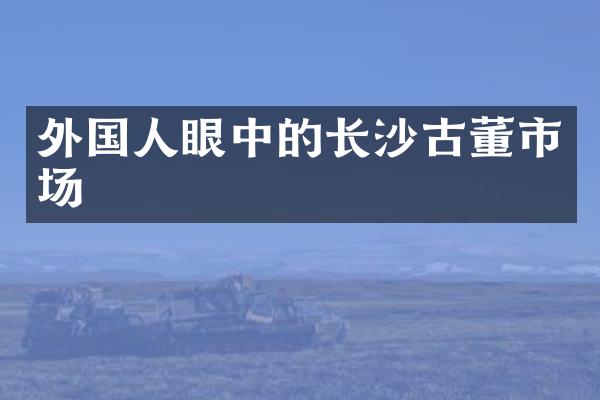 外国人眼中的长沙古董市场