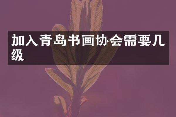 加入青岛书画协会需要几级