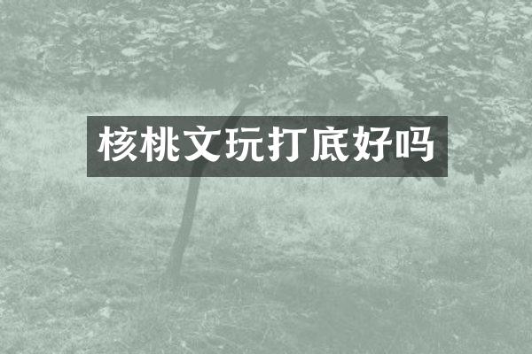 核桃文玩打底好吗