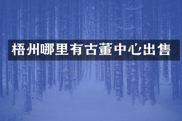 梧州哪里有古董中心出售