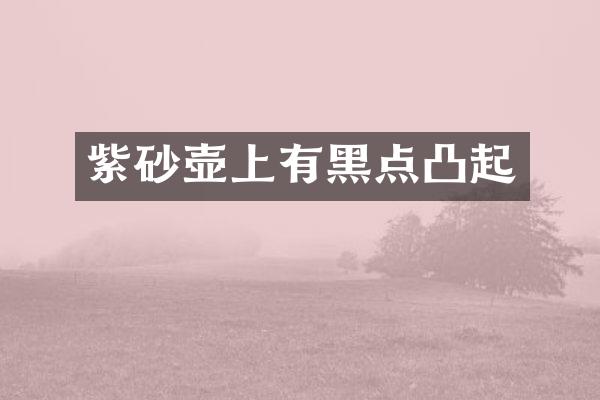 紫砂壶上有黑点凸起