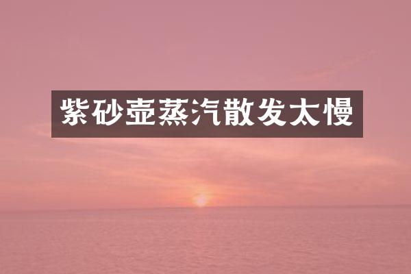 紫砂壶蒸汽散发太慢