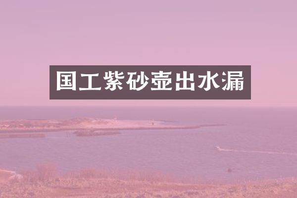 国工紫砂壶出水漏