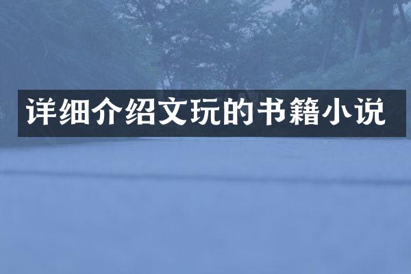 详细介绍文玩的书籍小说