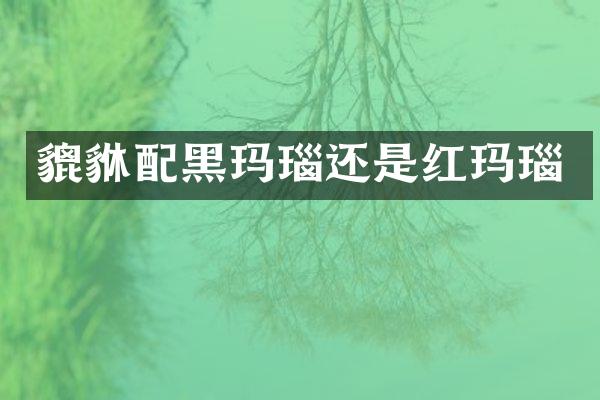 貔貅配黑玛瑙还是红玛瑙