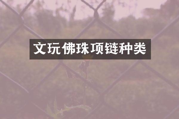 文玩佛珠项链种类