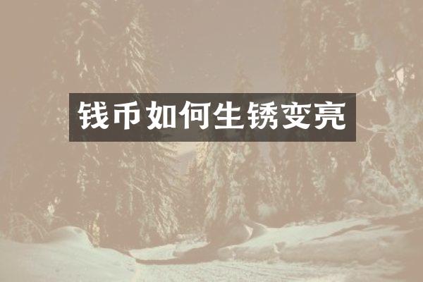 钱币如何生锈变亮