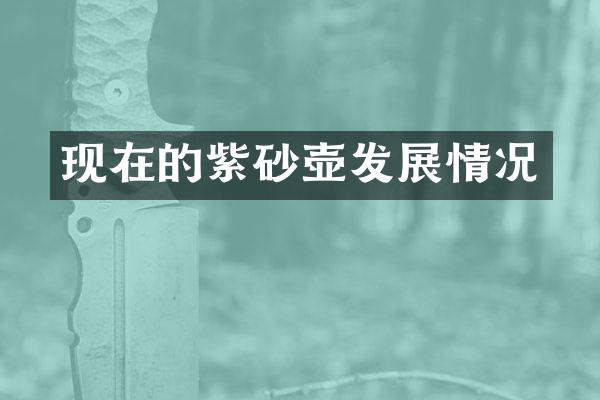 现在的紫砂壶发展情况