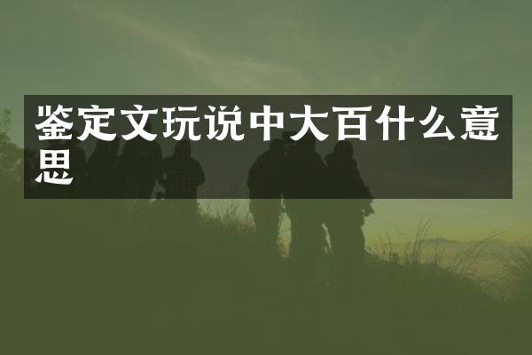 鉴定文玩说中大百什么意思