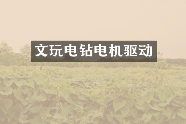 文玩电钻电机驱动