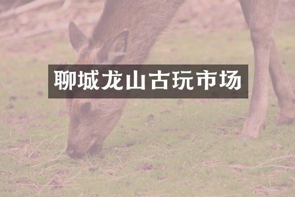 聊城龙山古玩市场