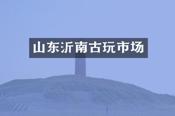 山东沂南古玩市场