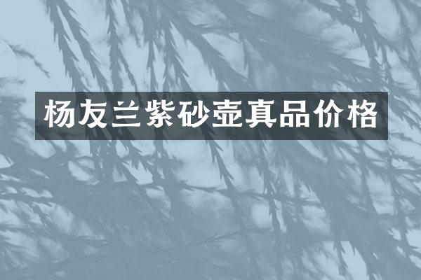 杨友兰紫砂壶真品价格