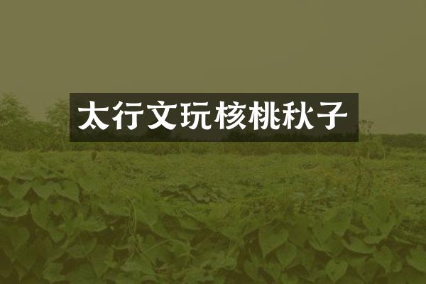 太行文玩核桃秋子