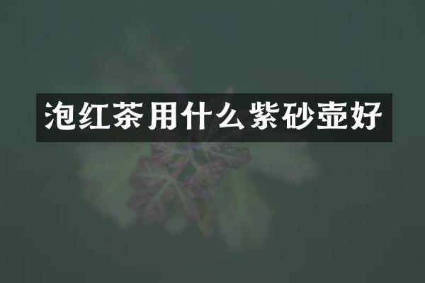 泡红茶用什么紫砂壶好