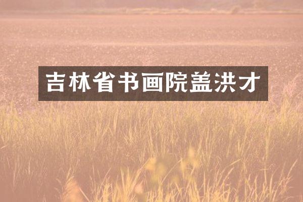 吉林省书画院盖洪才