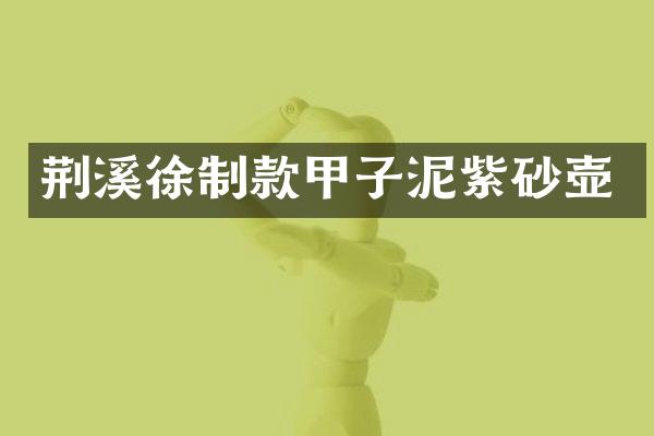 荆溪徐制款甲子泥紫砂壶