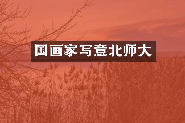 国画家写意北师大