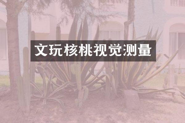 文玩核桃视觉测量